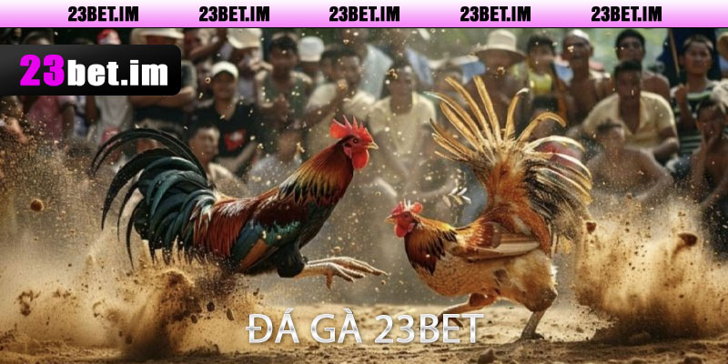 Đá Gà 23bet